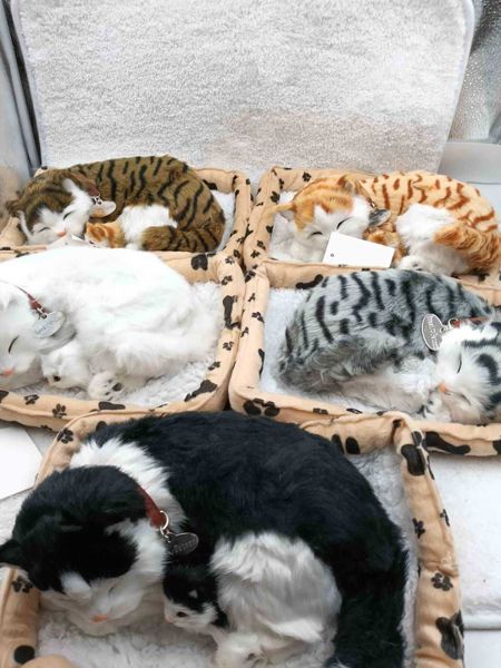 Interaktivni plišani psi i mačke na baterije