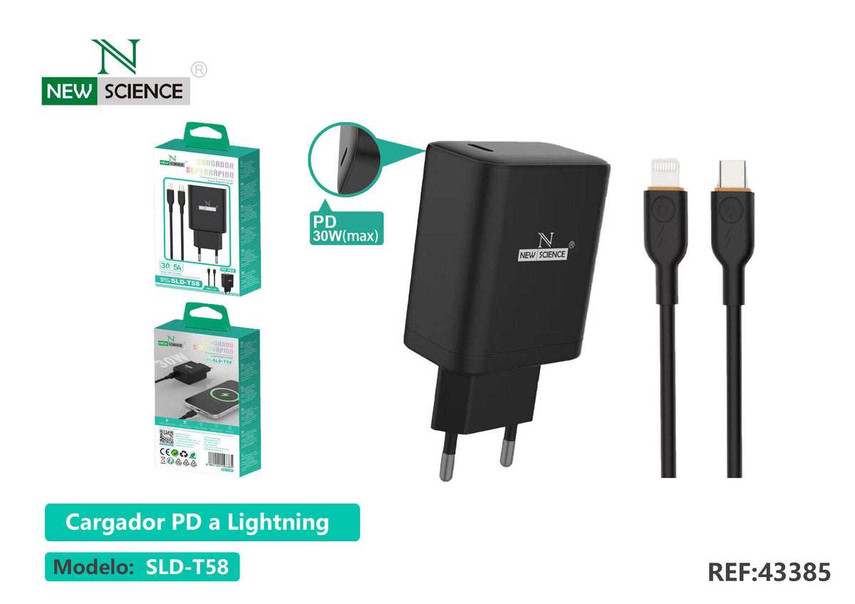 Kućni punjač USB-C PD 30 W (SLD-T58) – S kabelom USB-C na iPhone (crni)